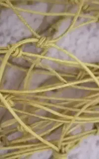 تور غریب گیری کفتر