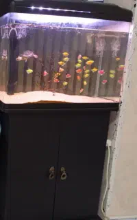 آکواریوم