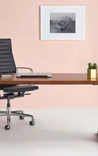 مسول دفتر خانم
