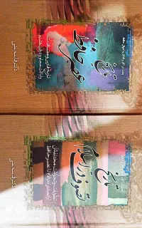 کتاب دو جلدی تاریخ تصوف در اسلام، تاریخ عصر حافظ