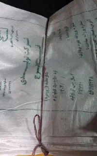 کیسه شکر