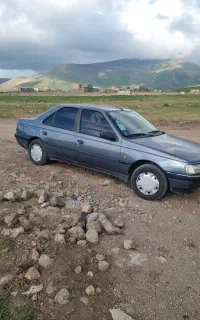 پژو 405  مدل 95دوگانه .