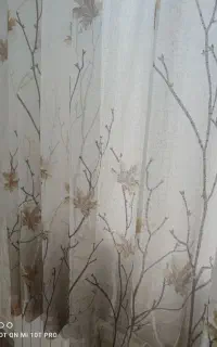 پردە