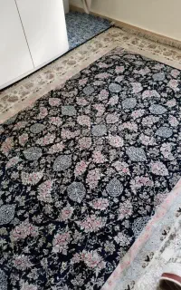 قرش تک 9متری1500شانه