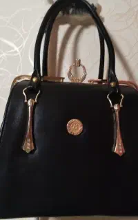 کیف مجلسی