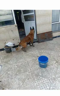مایل به معاوضه