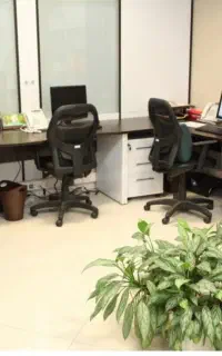 شغل پر در آمد مخصوص بانوان(پاره وقت)