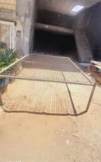 تخت  دودر سه  متر ۱۳ملیون  محکم  بشرط