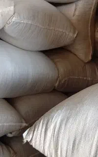 کاه دیم