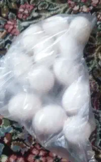 تخم کبوتر