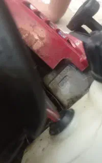 چمن زن دوشی ژاپن