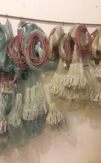 تور ماهیگیری