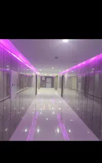 برقکار