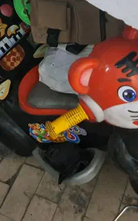 سه چرخه کودک