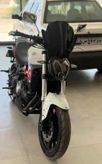 بنلی ۳۰۰ در حد خشک