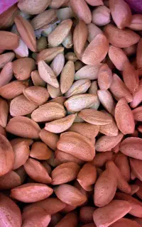 خرید و فروش بادام