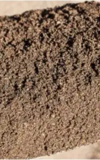 ماسه