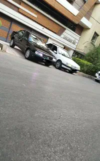 موجودی جدید در حد عروسک