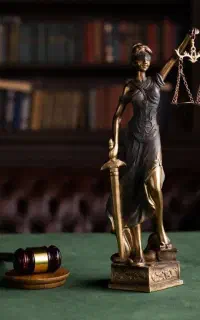 وکیل دادگستری و مشاور حقوقی