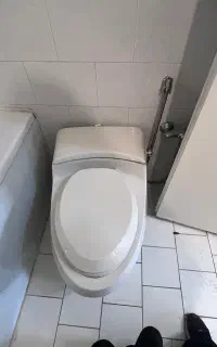 فرنگی مروارید کارکرده