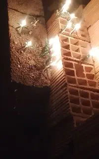 آقا دنبال کار
