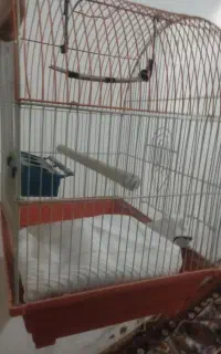 قفس پرنده