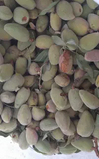 فروشی