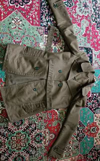 کت پالتویی