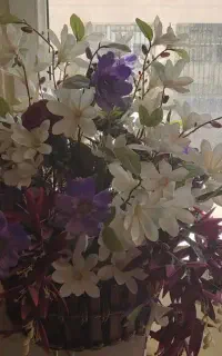 گل خارجی