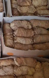 برگ زرد