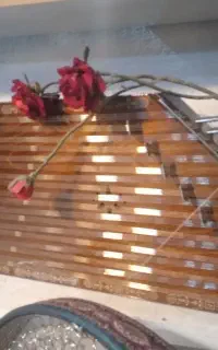 فروش  و آموزش سنتور (هرجلسه یک آهنگ)