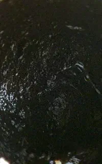 رب آلوچه و انار