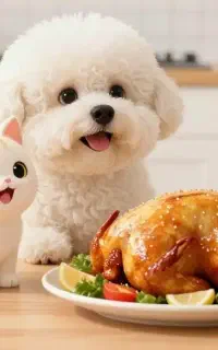 غذای سگ و گربه