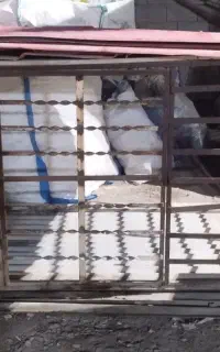 قفس