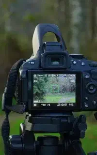 تصویربرداری فرمالیته، عکاسی، کلیپ، فیلم کوتاه