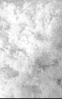 تولید و پخش الیاف توپی و حلاجی. الیاف هالو