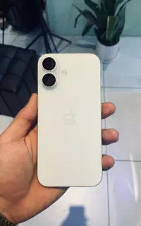 ۱۶نرمال