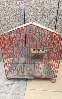 قفس پرنده