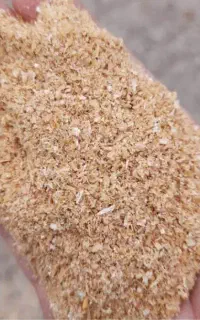 سبوس اندیمشک