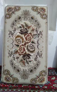 پشتی نو
