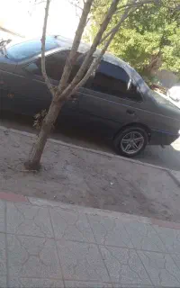رینگ‌خرچنگی