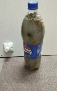 خیاروخیارشورتازه