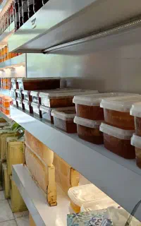 عسل طبیعی،خرده و عمده