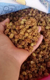 توت  خشک خوشمزه