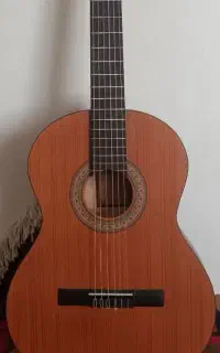 گیتار پارسی