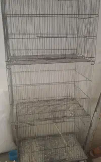 قفس پرنده