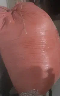 ۱ گونی بزرگ کاه نخود تمیز