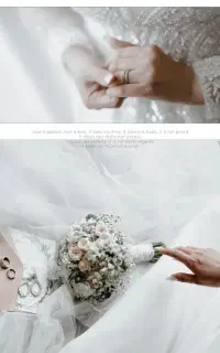 آتلیه فیلم و عکس شاپرک ، جشنواره عید تا عید