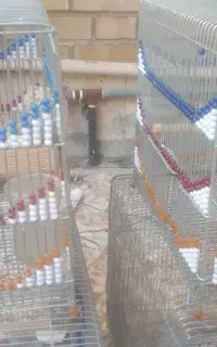 لوازم جانبی