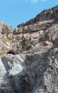 جویای کار نگهبانی هستم